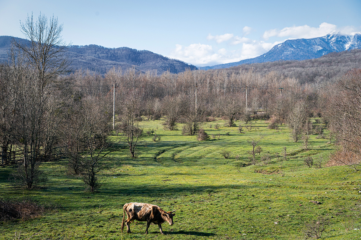  Фото: Денис Липа для ТД