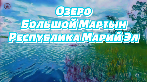 Озеро Большой Мартын | Республика Марий Эл | Лесная дорога #лес #озеро #отдых #лето #рыбалка