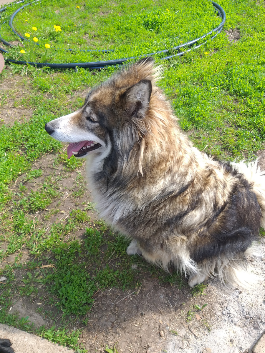 Такую красоту вообще ничем не испортишь