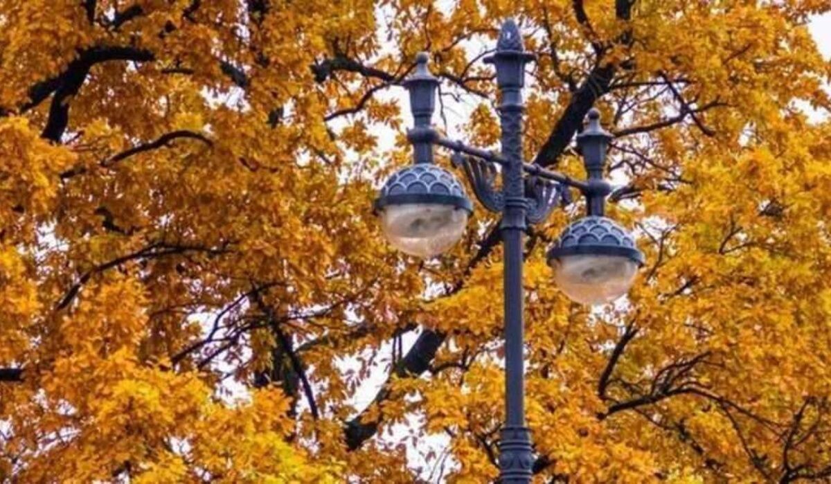     Фонари. Источник: 78.ru Автор фото: Пресс-служба СПб ГБУ "Ленсвет"