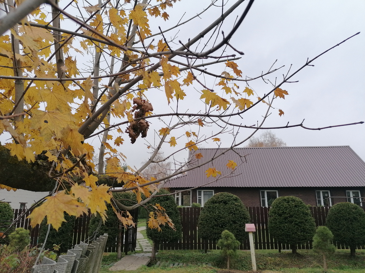 Наш дом на даче в октябре 2024. Фото автора @Маша Генералова 