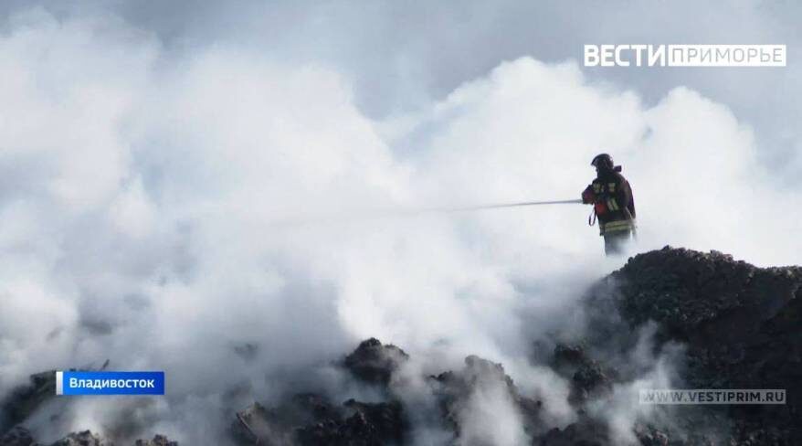    Источник фото: Из архива "Вести: Приморье"