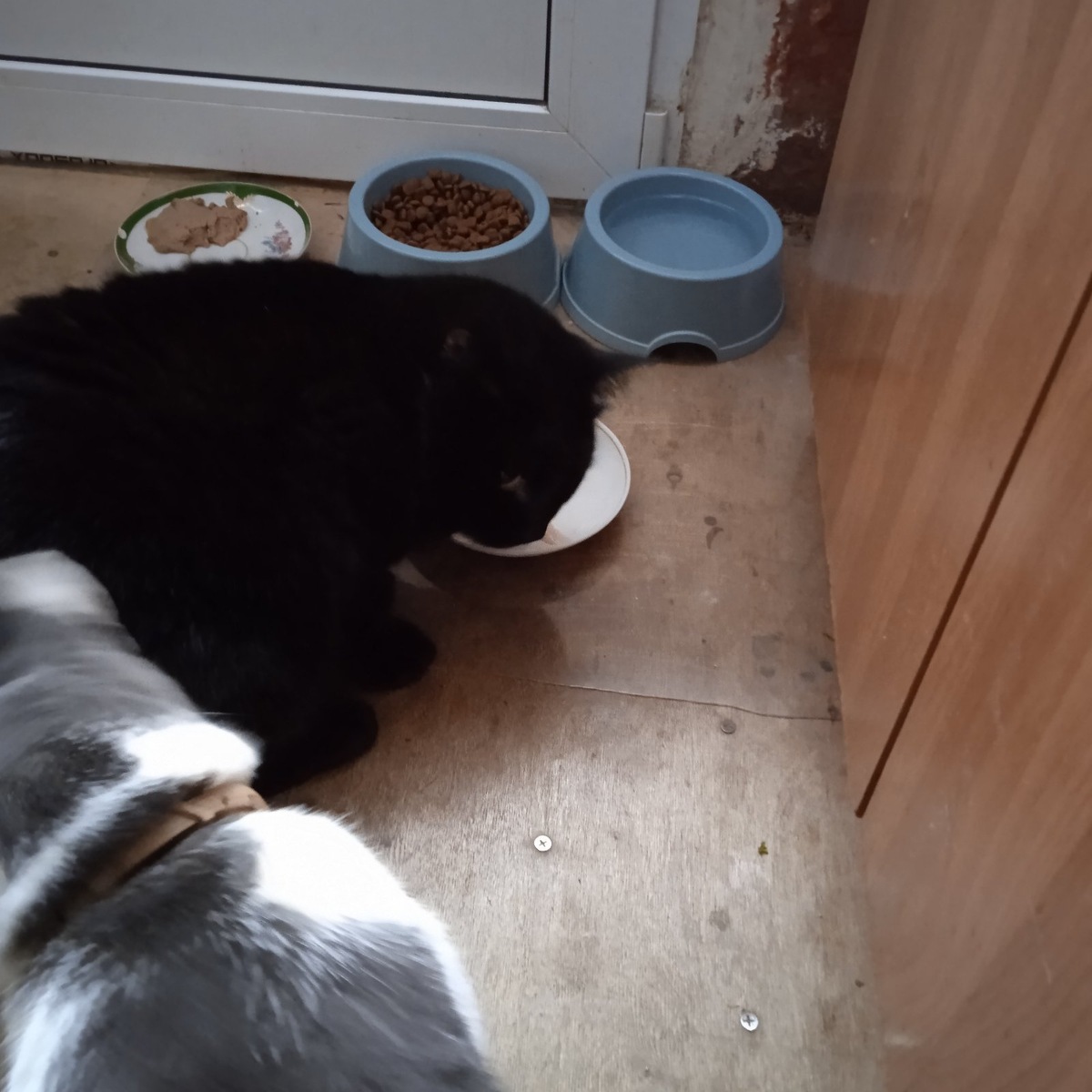 Фото автора.