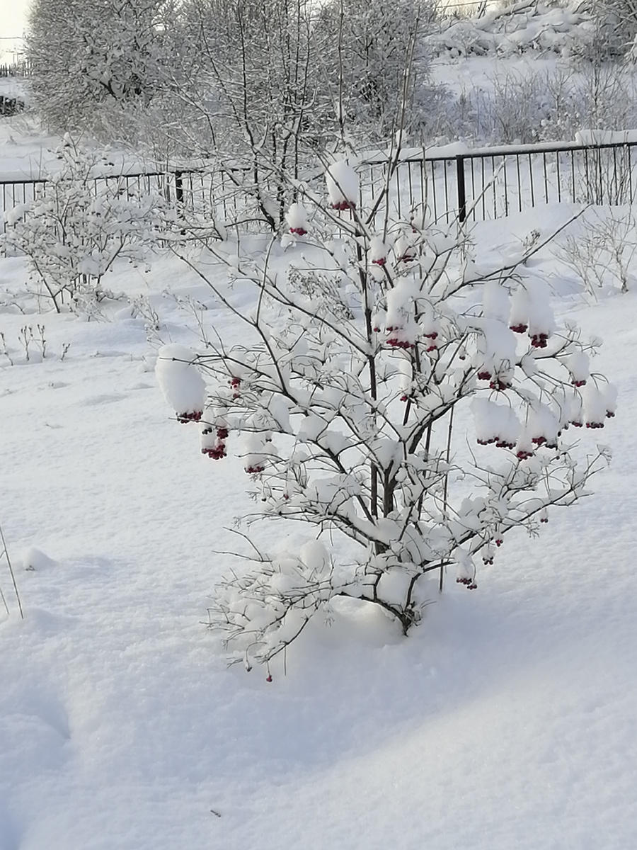 Теплые первые дни января. 