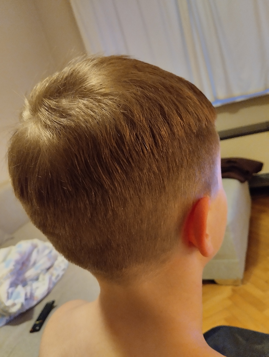 Вчера стригла Вову. 