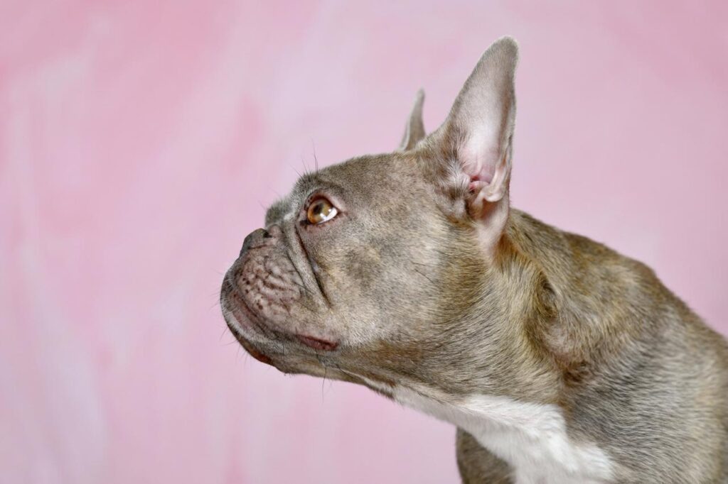 Фото: GettyImages