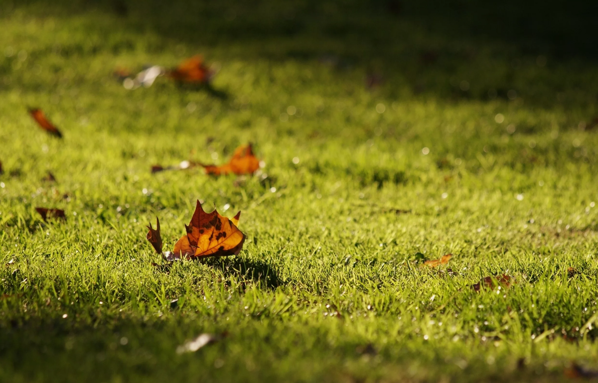 Источник фото: pic2.me