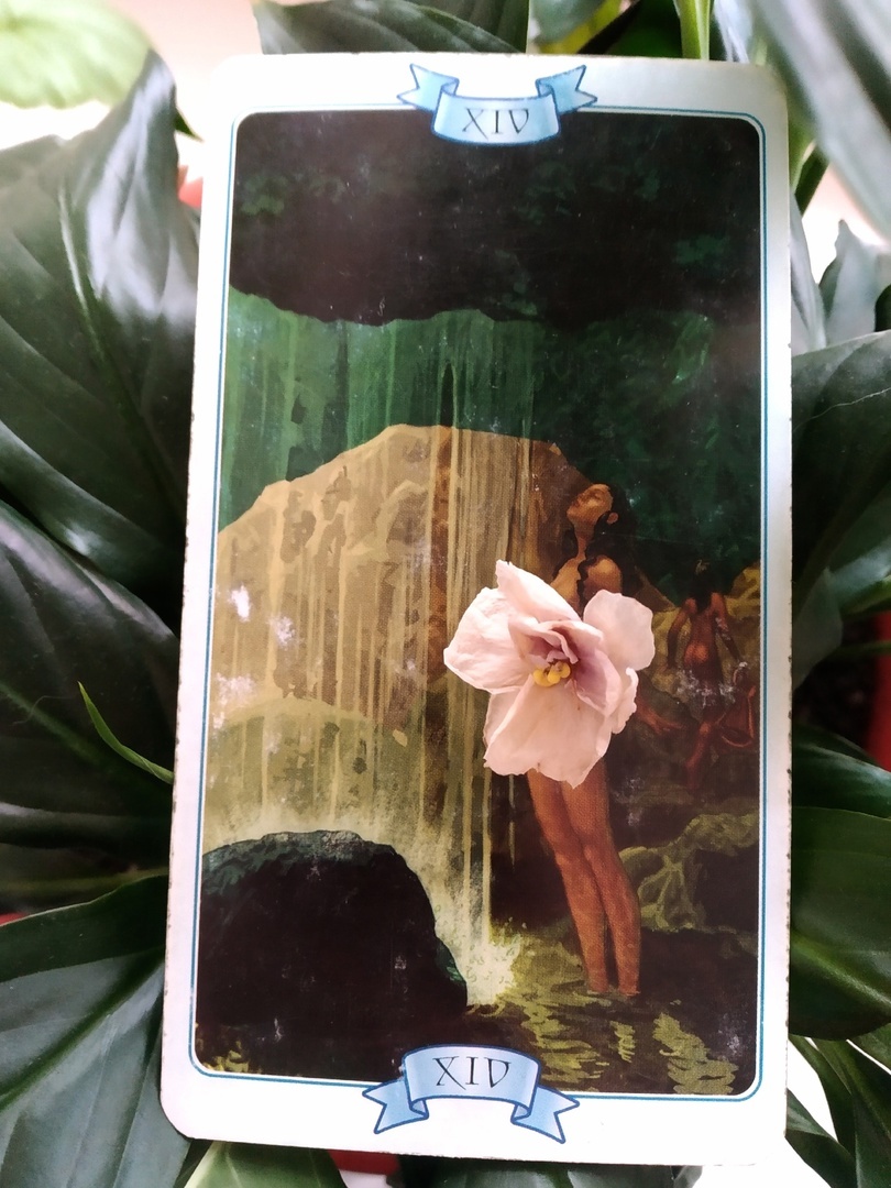 Умеренность -  Закон притяжения