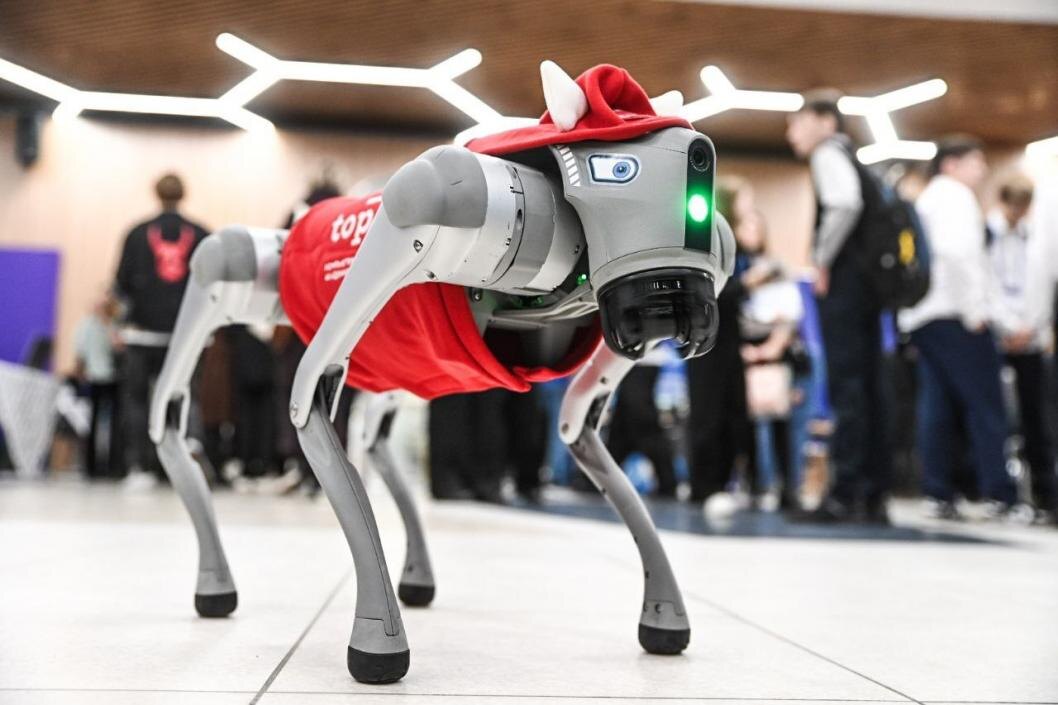 Фото: Сергей Елесин, ИА "Тюменская линия"