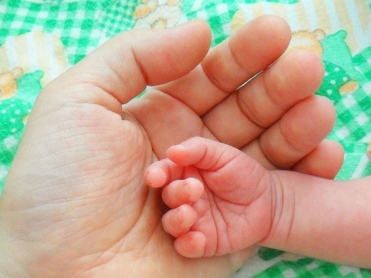    Начал работу портал для ленинградских семей с детьми Семья47.рф. Фото: «МК в Ленобласти».