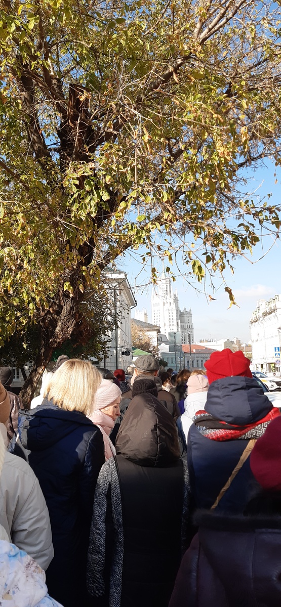 Все собрались! 