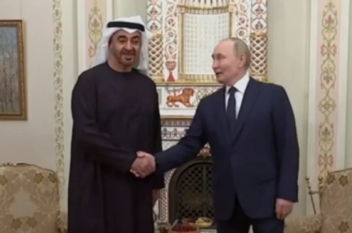    Путин рассказал о неформальной встрече с президентом ОАЭ в Ново-Огареве