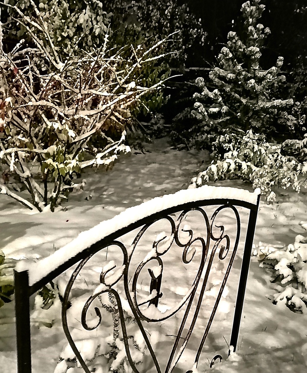 Октябрь 2023 г в моем саду