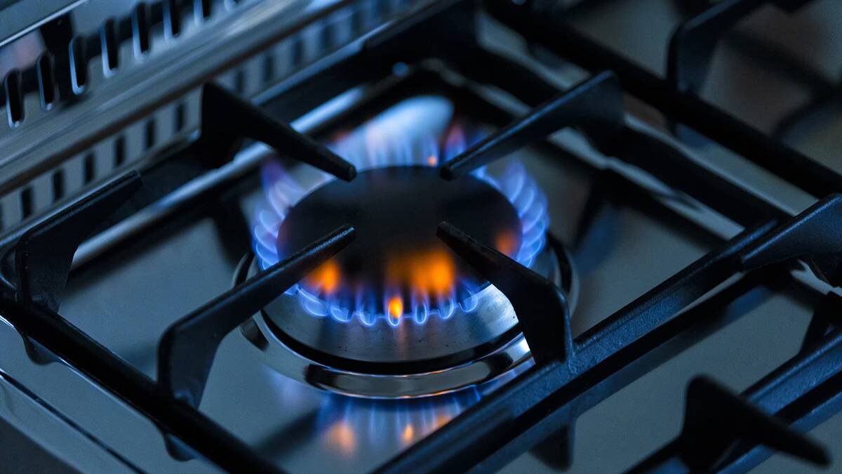    Фото: Shutterstock