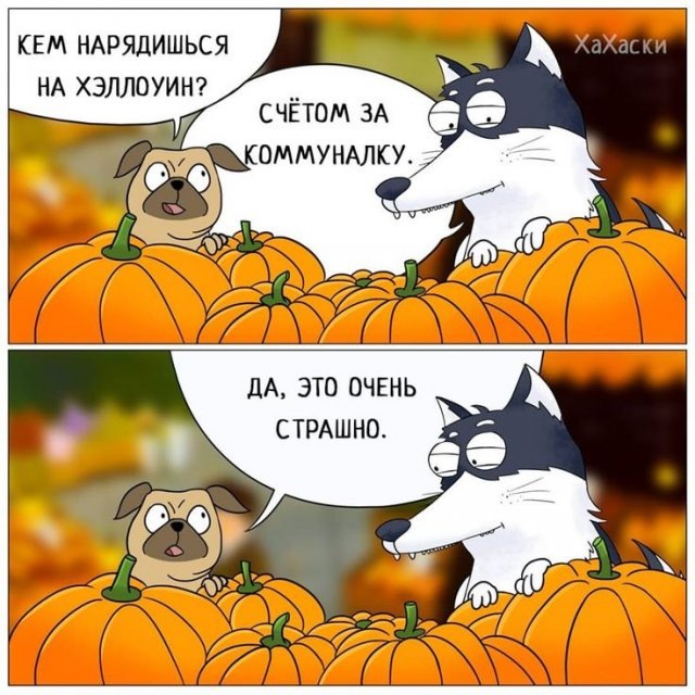 Порция тематических мемов не помешает🎃