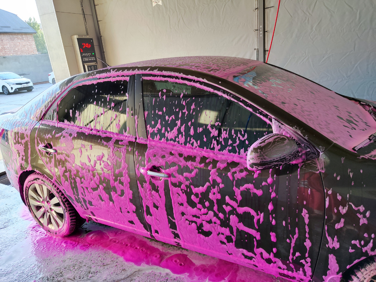 После дороги обязательно ополоснуть Цири, чтобы убрать насекомых. Галерею можно листать