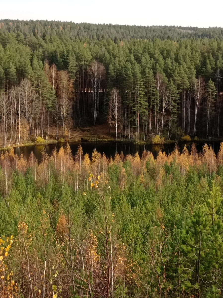 Озеро Муоккалампи, Карелия