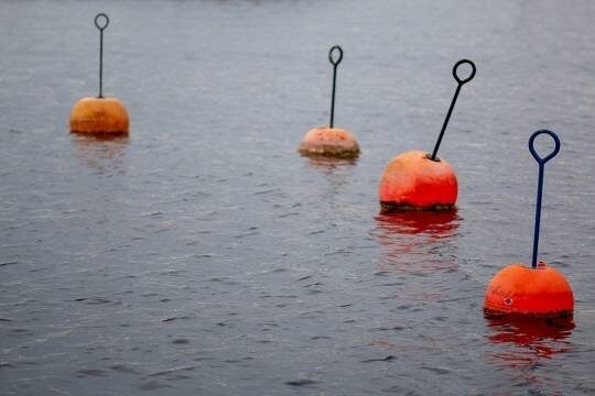    Эстония задумалась об установке буев с лезвиями вдоль водной границы