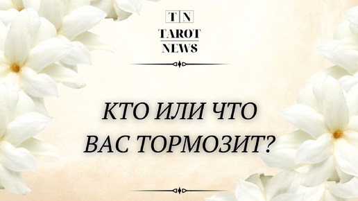 КТО ИЛИ ЧТО ВАС ТОРМОЗИТ?