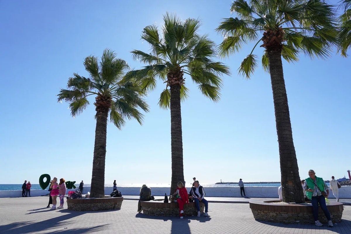    Фото: Telegram/Сочи Официальный