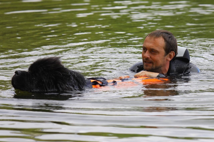    Фото: Пресс-служба Департамента по делам гражданской обороны, чрезвычайным ситуациям и пожарной безопасности города Москвы