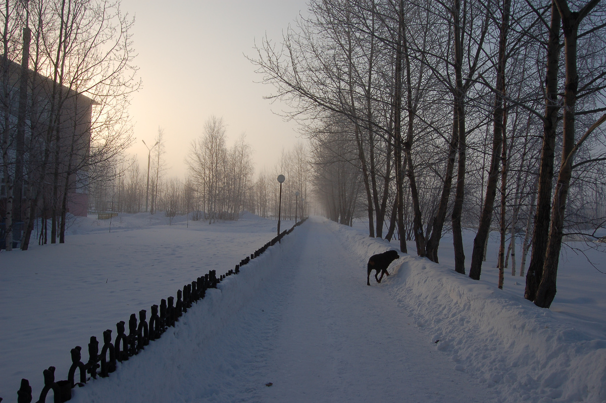 На фото место встречи зимой