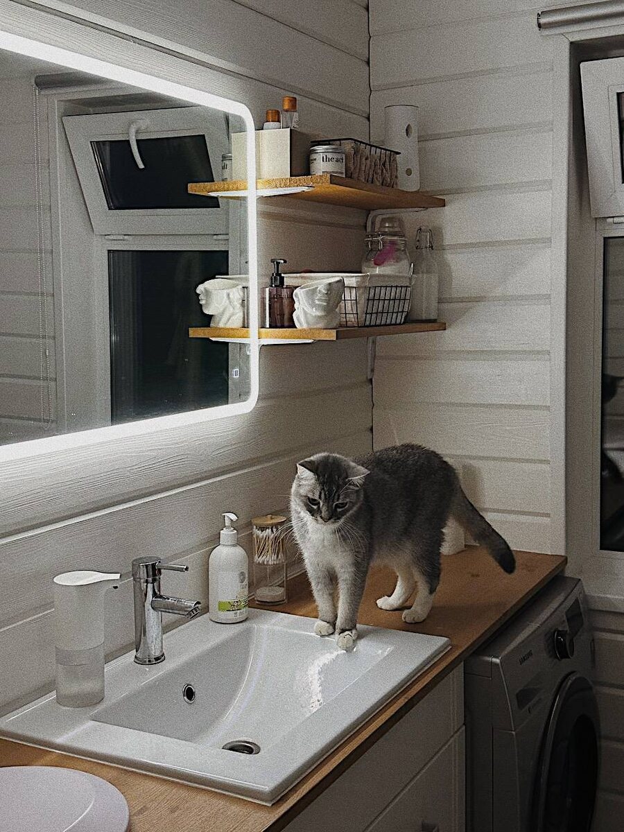 Наш кот всегда пытается пить воду из под крана....