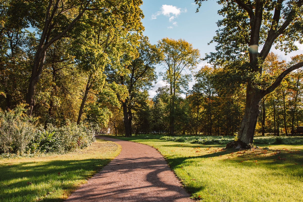 Фото: ГМЗ «Царское Село» (Екатерина Новак)
