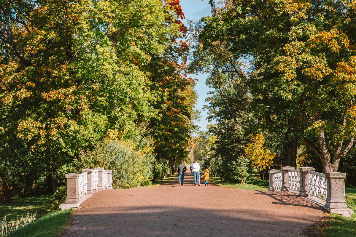 Фото: ГМЗ «Царское Село» (Екатерина Новак)