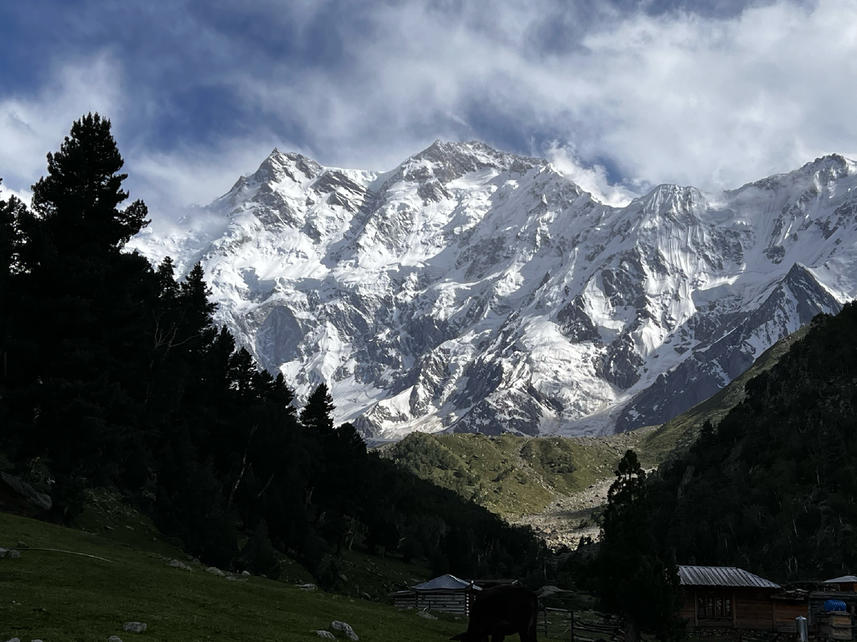 Северная сторона Фейри Медоу