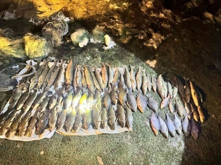     Фото: пресс-служба ГУ МВД России по Челябинской области