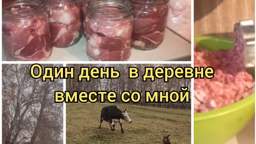 Один день со мной в деревне. Коровы сбежали. Переработка мяса