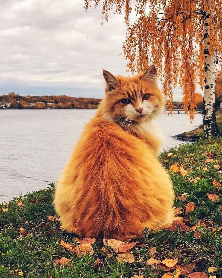  : fotostrana.ru