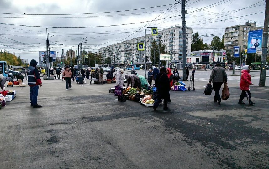    gov.spb.ru