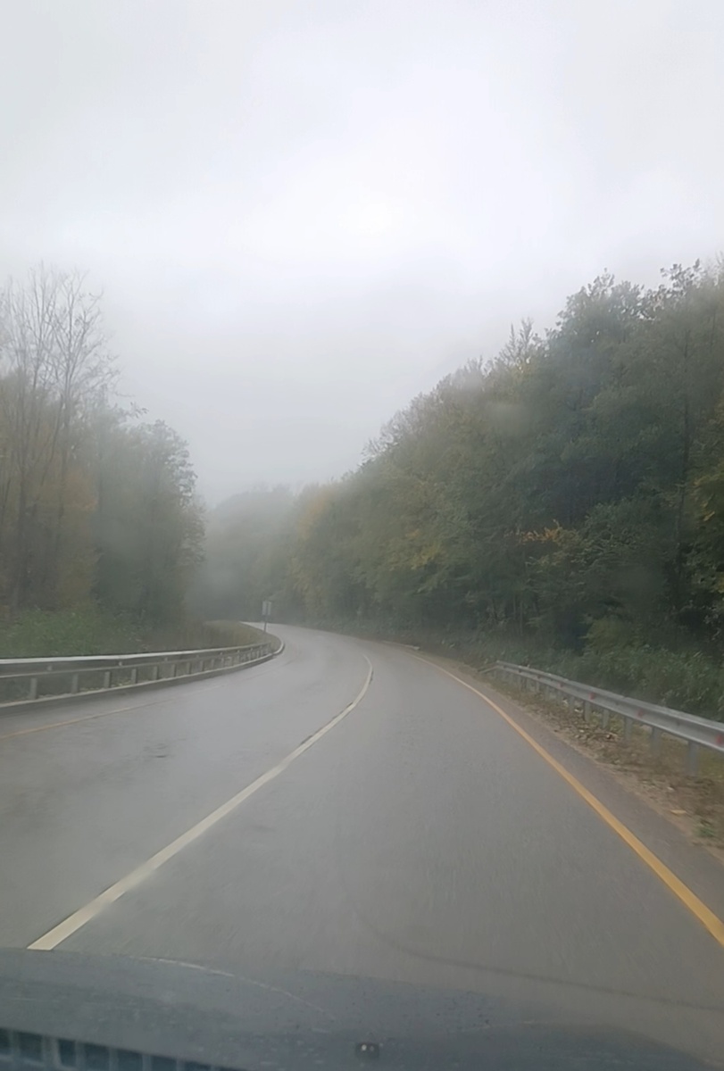 Фото из авто