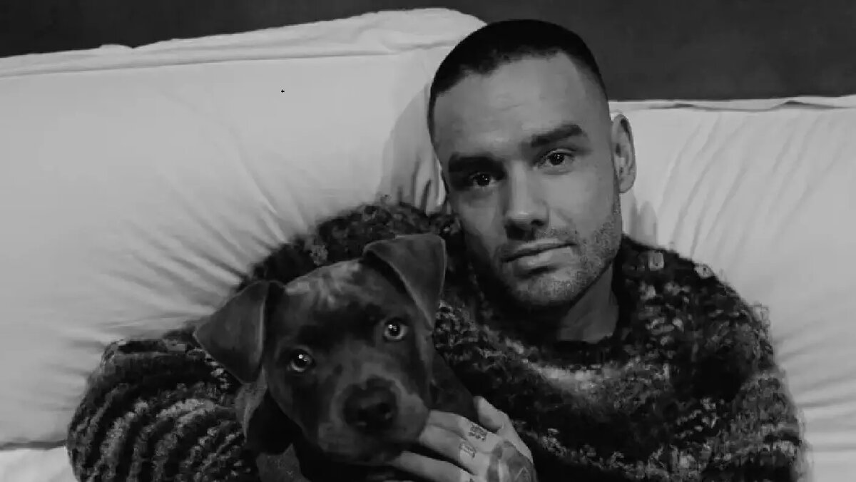     Источник: Соцсети Лиама Пейна