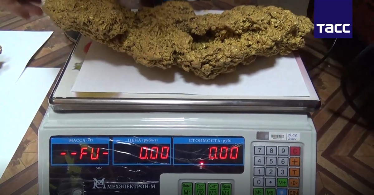 Это самый крупный самородок России! Самый крупный самородок весит больше 16 килограмм, весы следственной группы ФСБ больше не взвешивают.