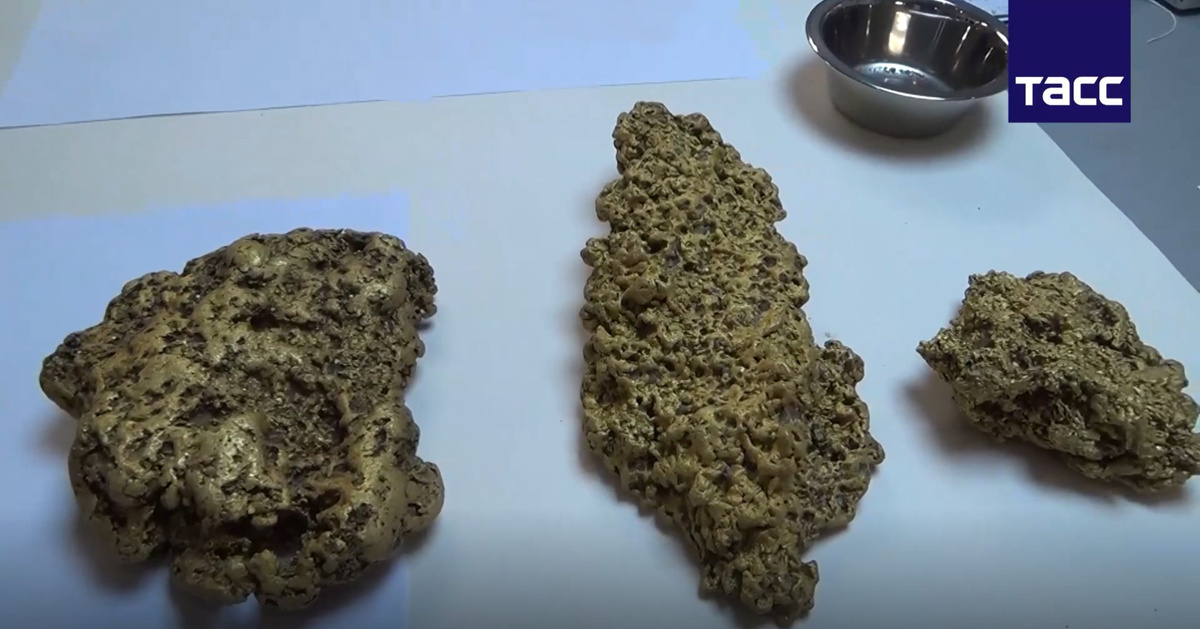 Золотые самородки найденные поисковиками-кладоискателями на Урале с помощью металлоискателей.  Это музейные экземпляры! 