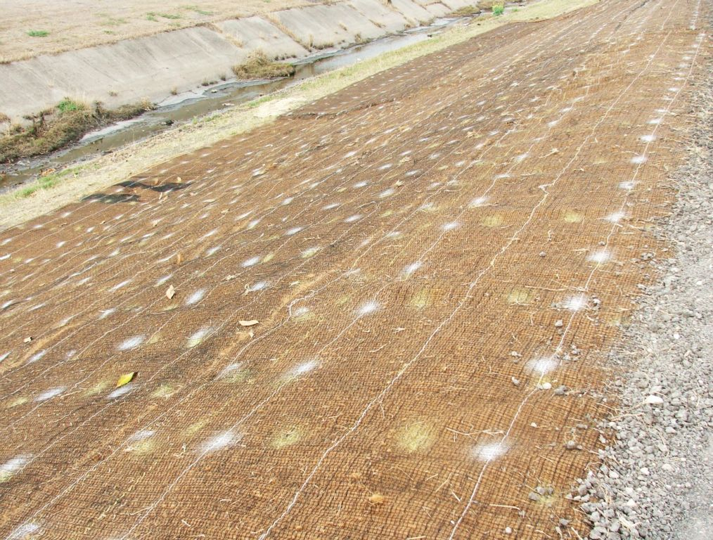 Биомат на склоне