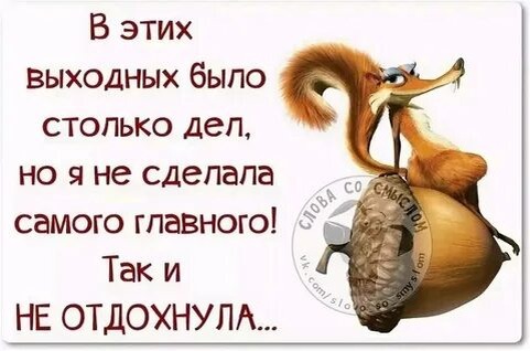 картинка с простора сети