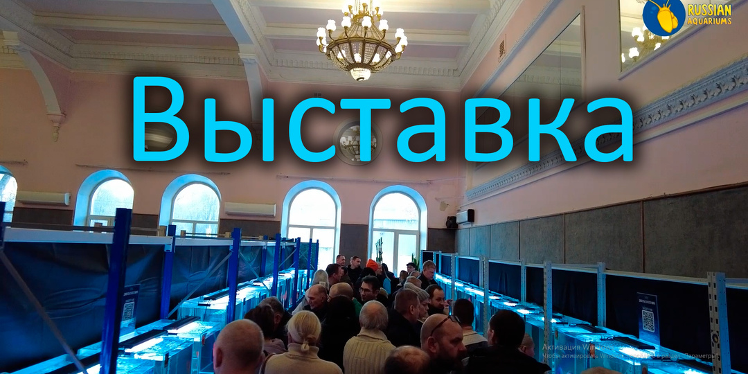 Приглашение на выставку аквариумистики 2025