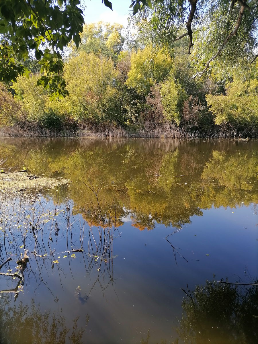 Фото автора