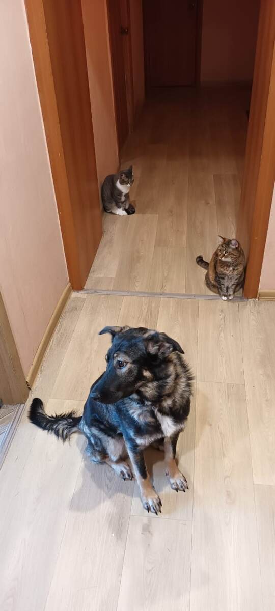 "Ты видишь, куда она смотрит? А зачем она туда смотрит??"