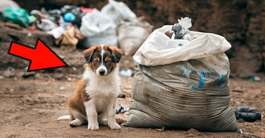 Вступление: