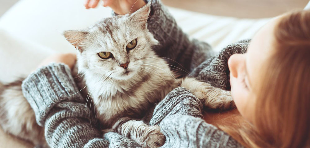 Фото из Интернета.