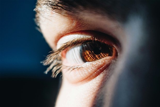 Фото: Bacila Vlad / Unsplash