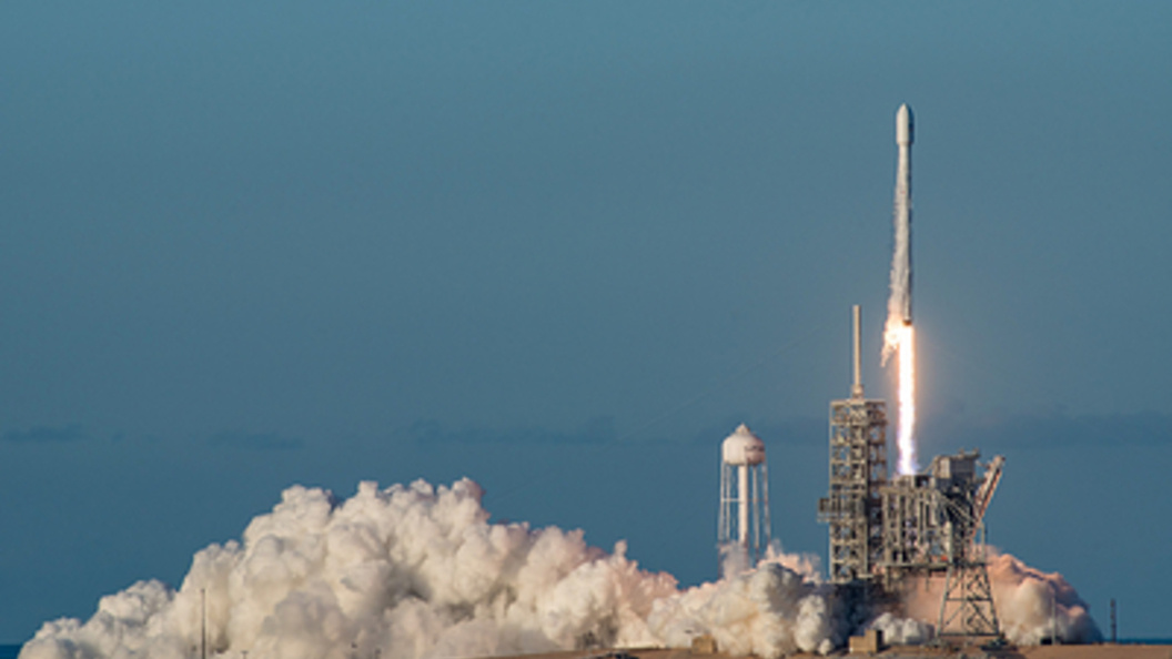    Фото: SpaceX/ twitter.com/Globallookpress