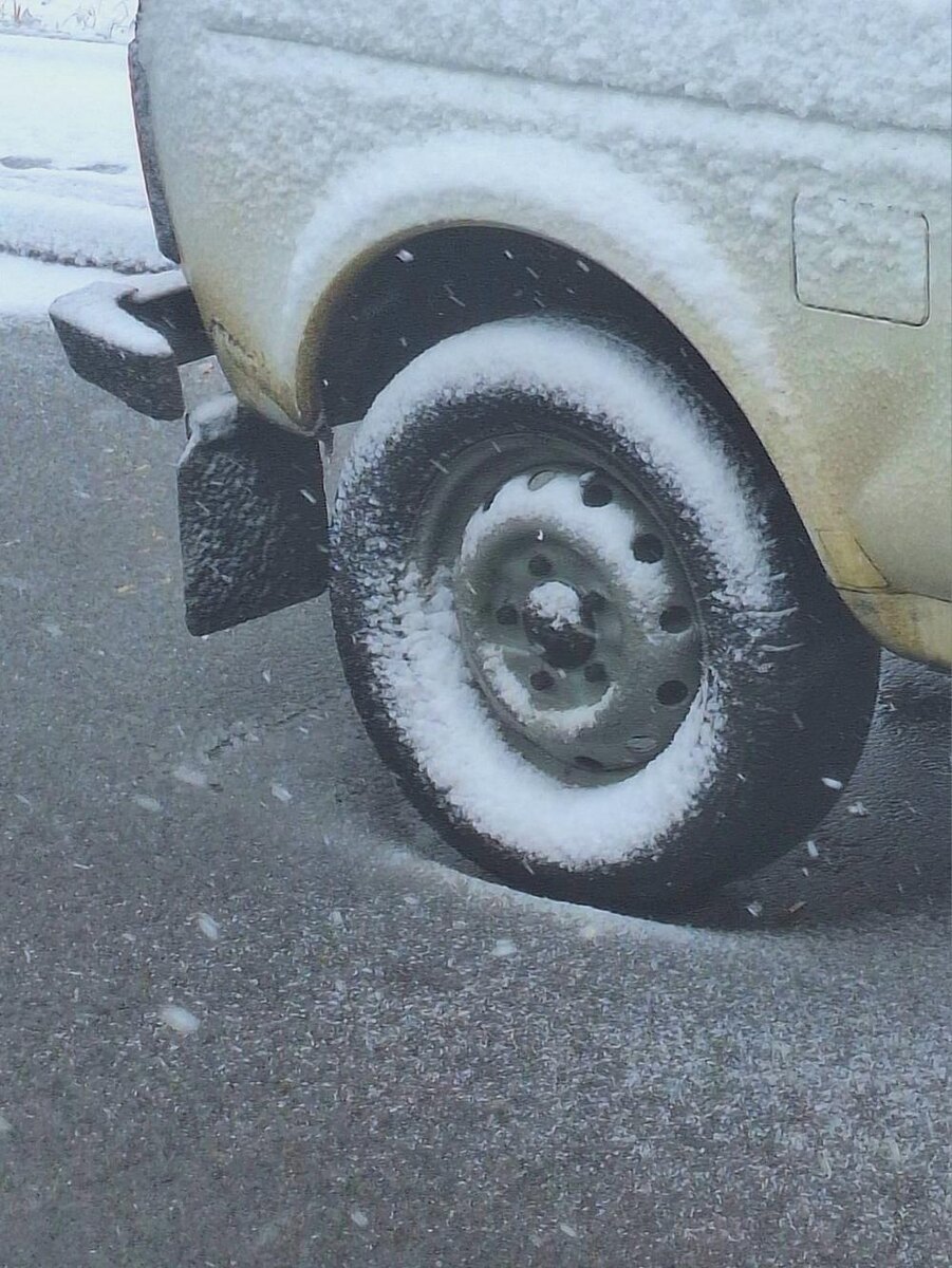 Первый кадр 15:21 "Докатились... зима пришла!" Фото: Кирилл Суконкин (ИПЛФ)