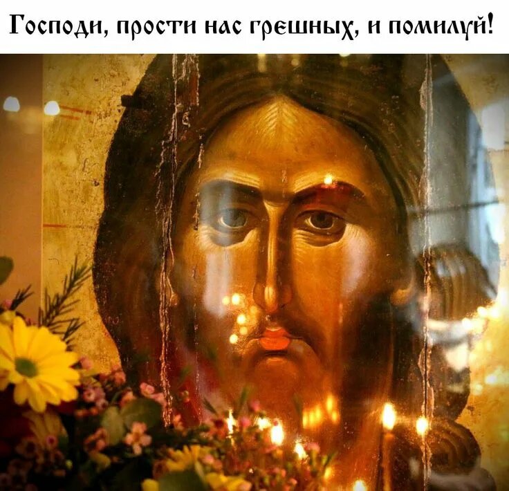 Источник фото: Яндекс Картинки