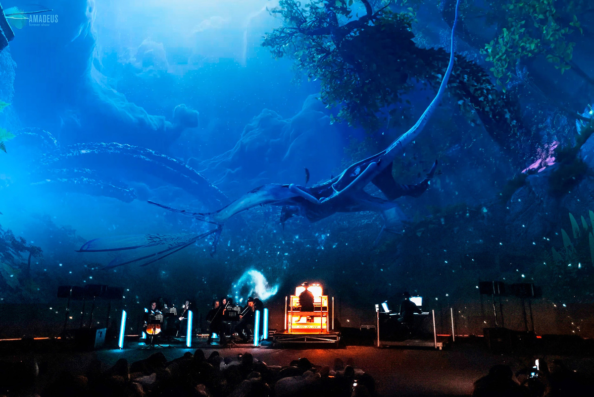 Фотография с концерта в Санкт-Петербурге